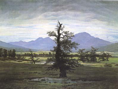 Caspar David Friedrich The Lone Tree (mk09`) Germany oil painting art